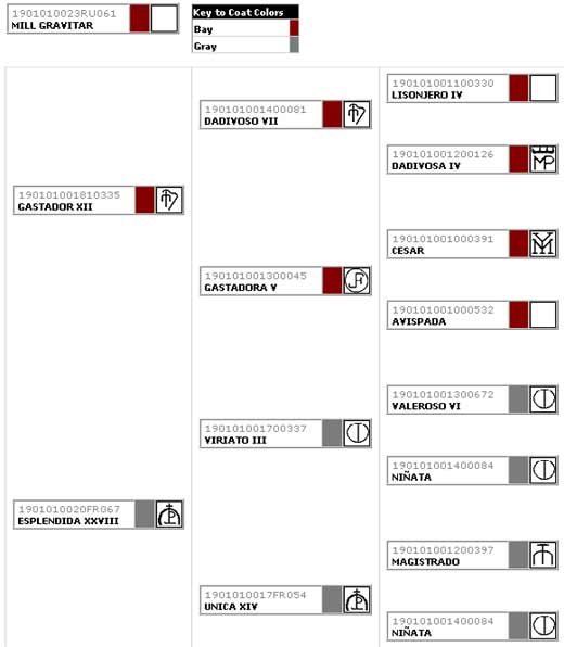 Mill Gravitar Pedigree